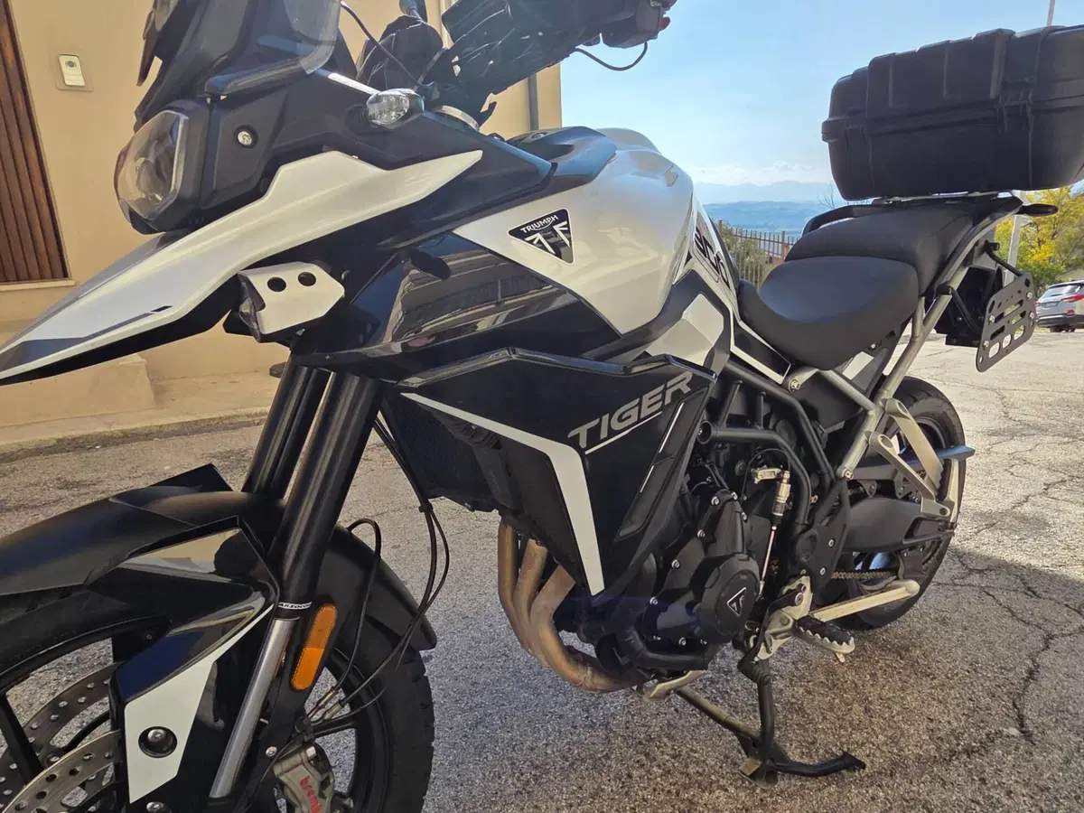 Triumph Tiger 900 GT Pro (2024 - 26) (8)