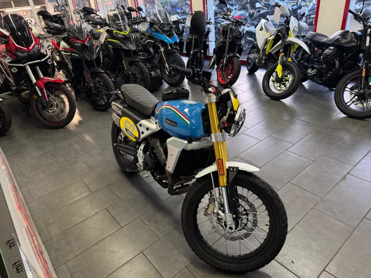 Fantic Motor Caballero 500 Scrambler Anniversary (2021 - 23) (6)