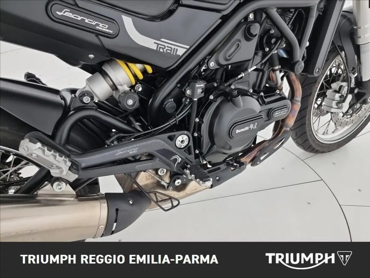 Benelli Leoncino 500 Trail (2021 - 26) (17)