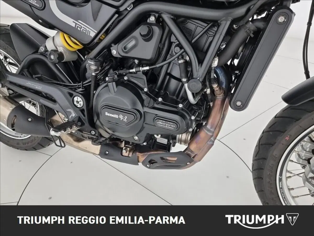 Benelli Leoncino 500 Trail (2021 - 26) (18)