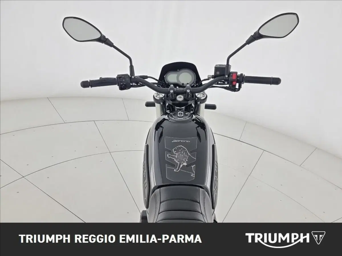 Benelli Leoncino 500 Trail (2021 - 26) (15)