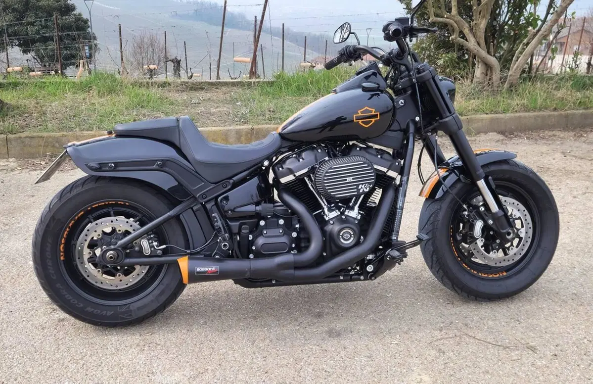 Harley-Davidson 114 Fat Bob (2018 - 20) - FXFBS (2)
