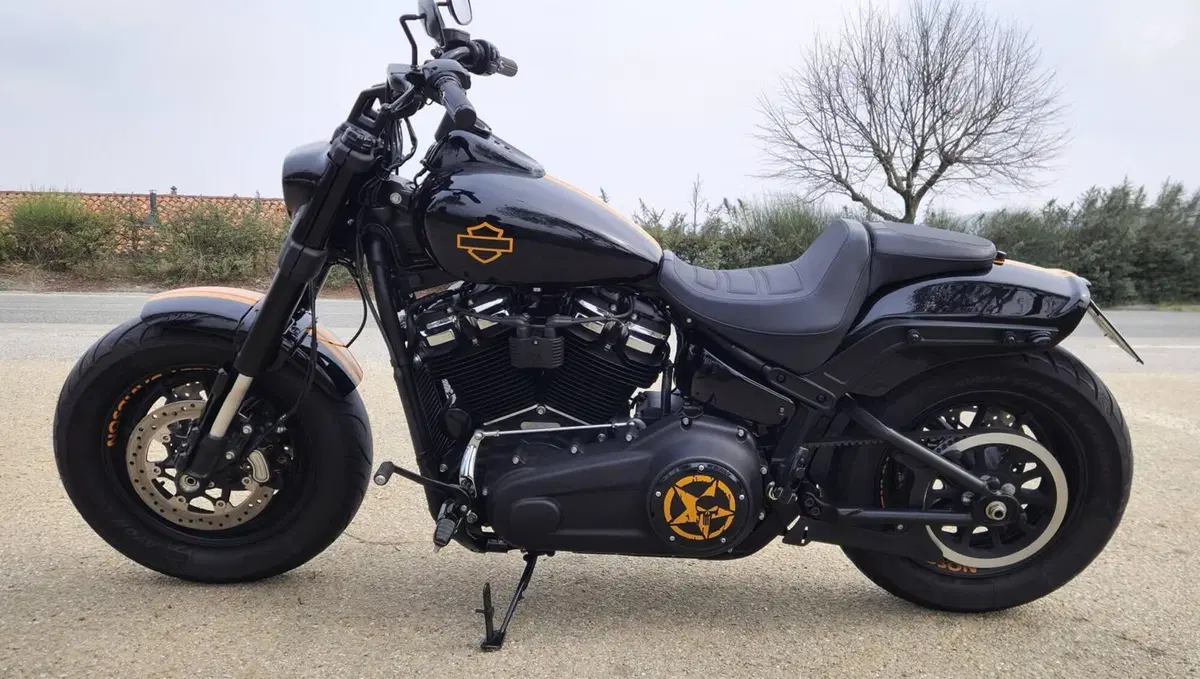 Harley-Davidson 114 Fat Bob (2018 - 20) - FXFBS (5)