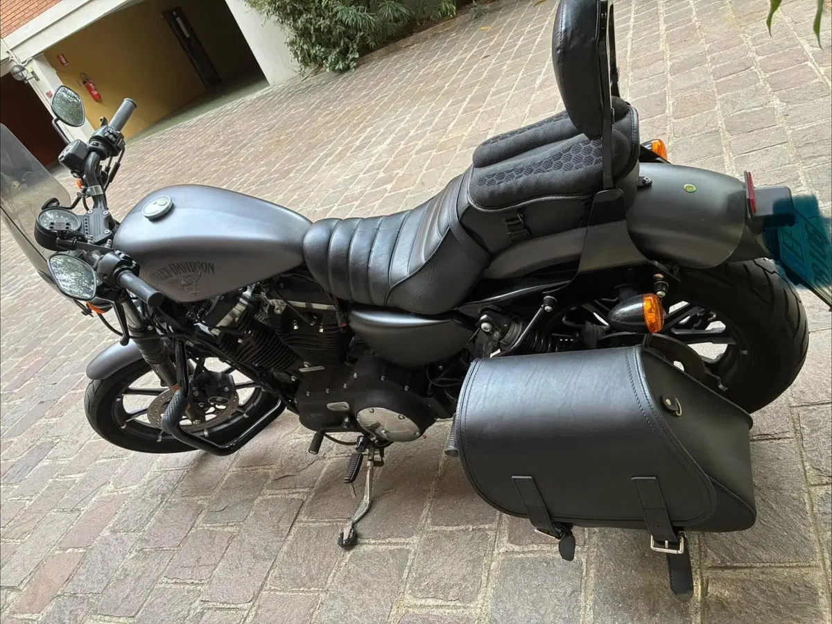 Harley-Davidson 883 Iron (2014 - 16) - XL 883N (2)