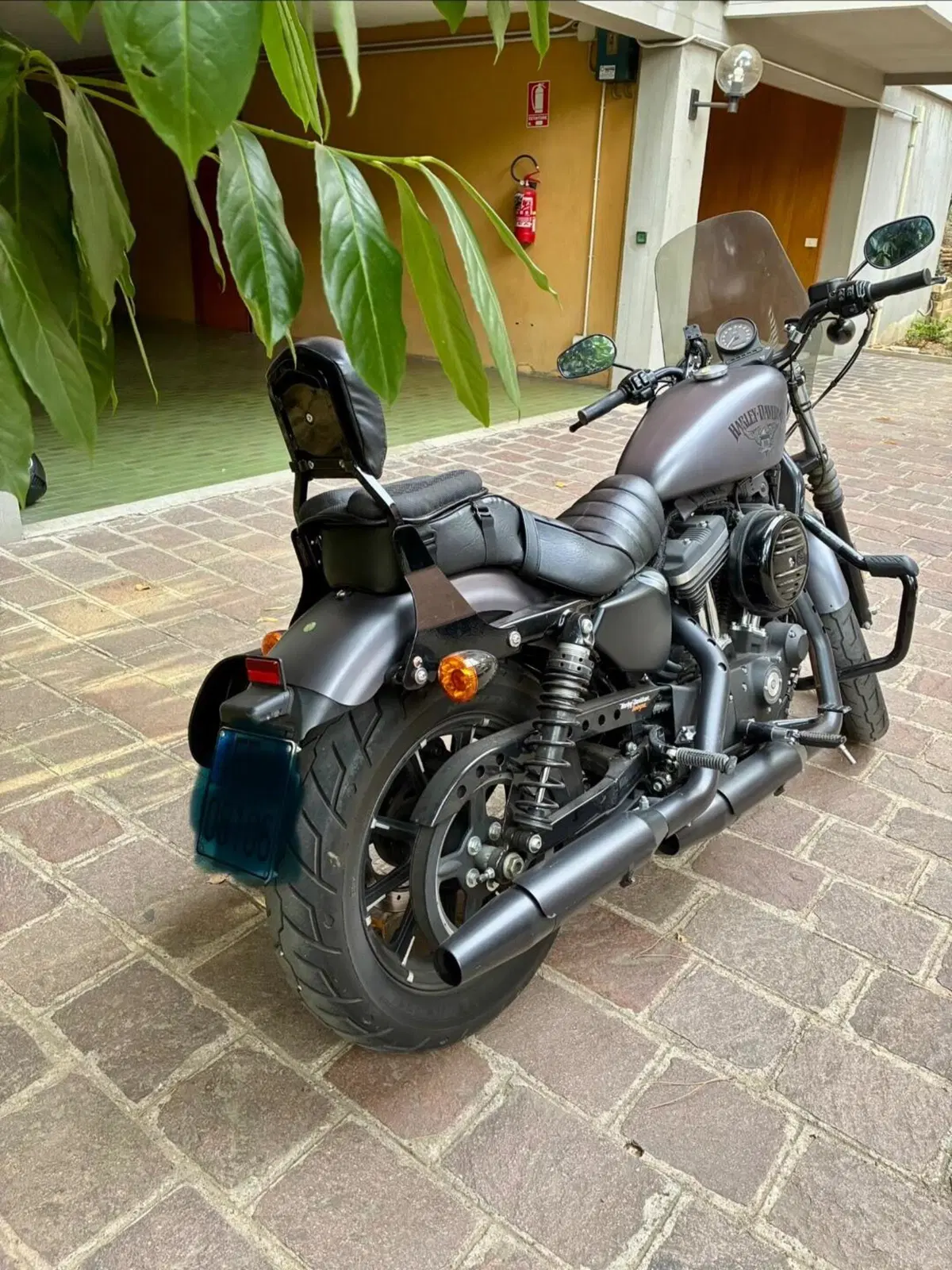 Harley-Davidson 883 Iron (2014 - 16) - XL 883N (3)