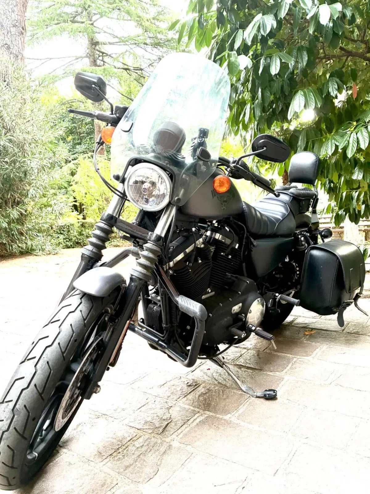 Harley-Davidson 883 Iron (2014 - 16) - XL 883N (5)