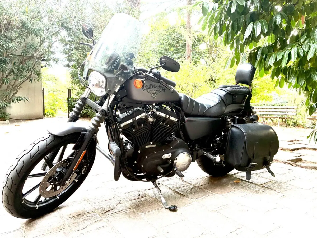 Harley-Davidson 883 Iron (2014 - 16) - XL 883N (6)