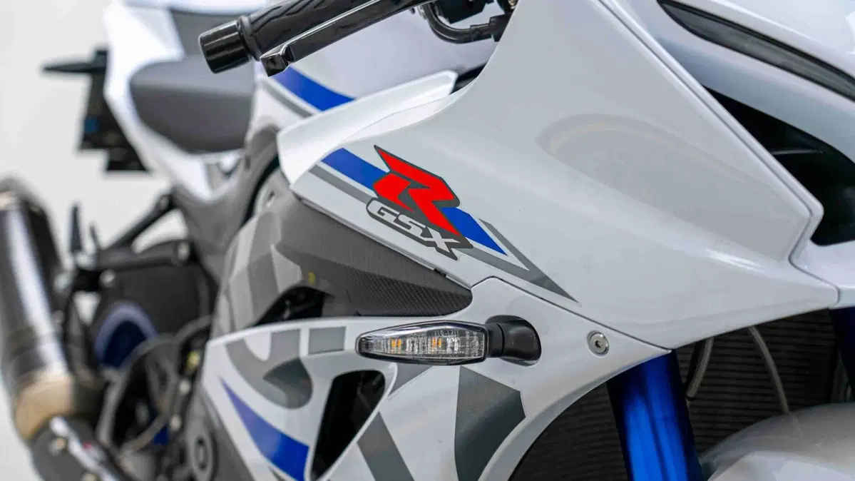 Suzuki GSX-R1000 (2017 - 18) (3)