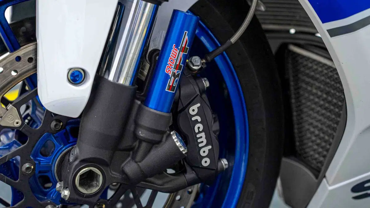 Suzuki GSX-R1000 (2017 - 18) (6)