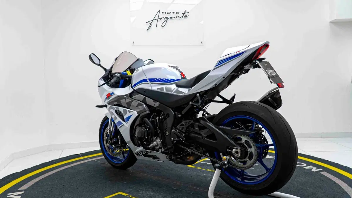 Suzuki GSX-R1000 (2017 - 18) (17)