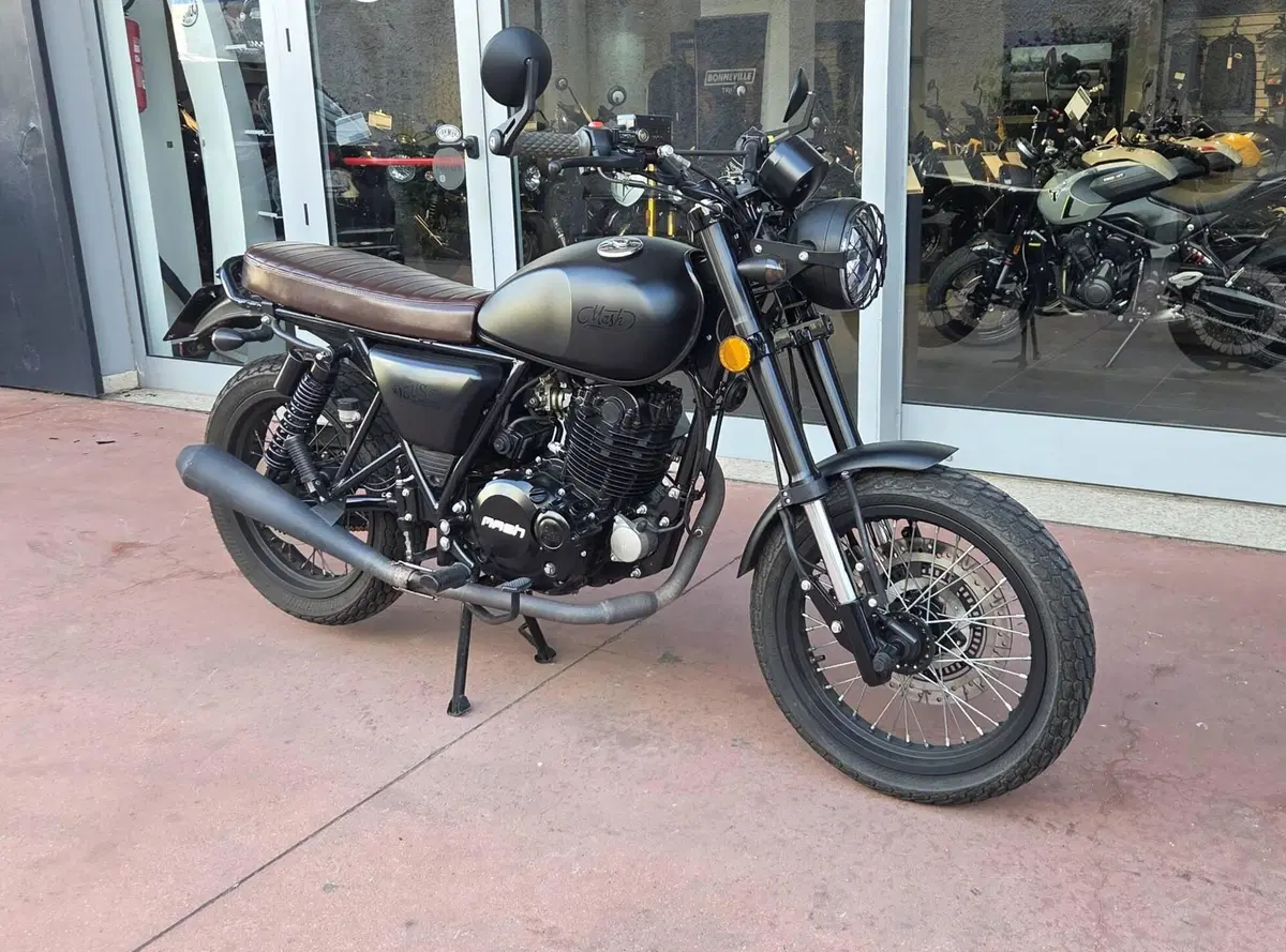 Mash Italia Two Fifty 250 (2021 - 25)
