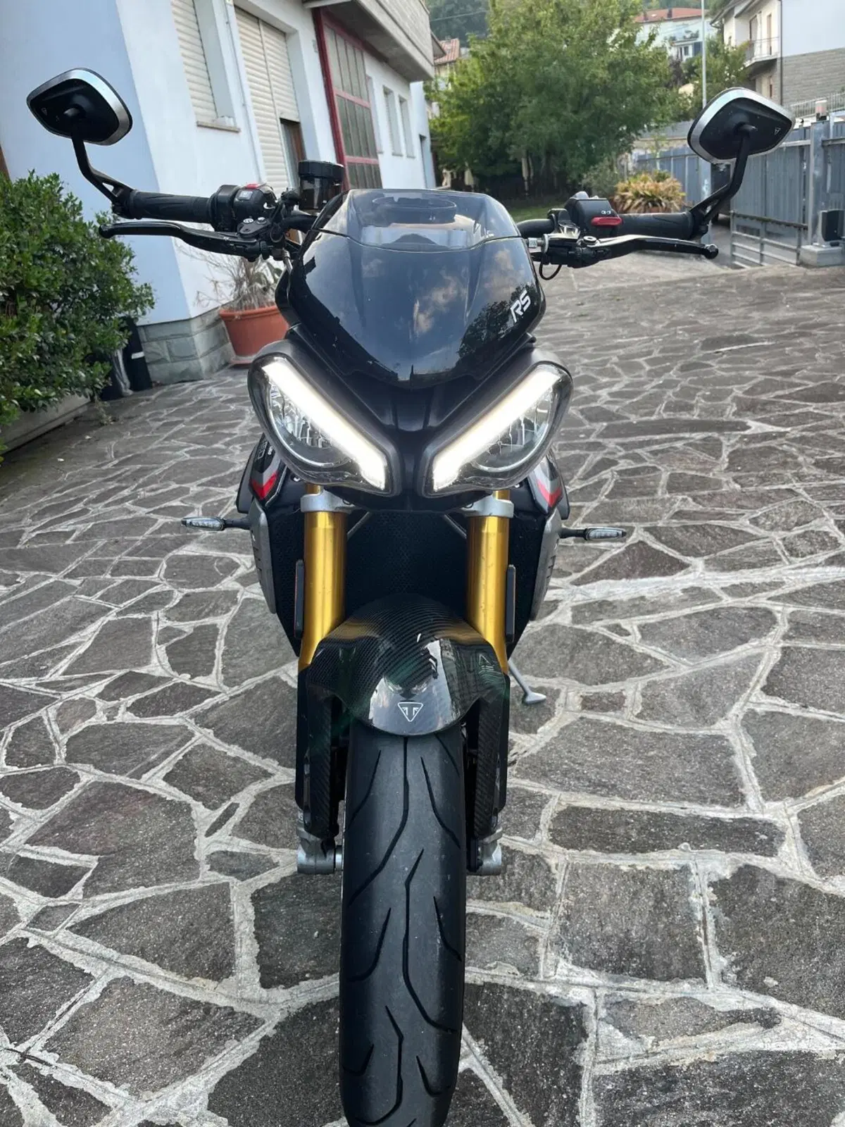 Triumph Speed Triple 1200 RS (2021 - 24) (3)