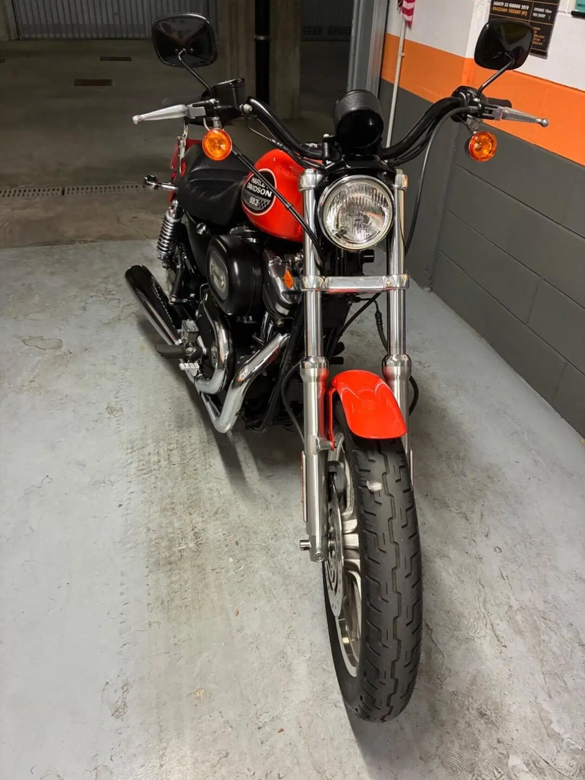 Harley-Davidson 883 R (2002 - 03) - XL 883R (2)