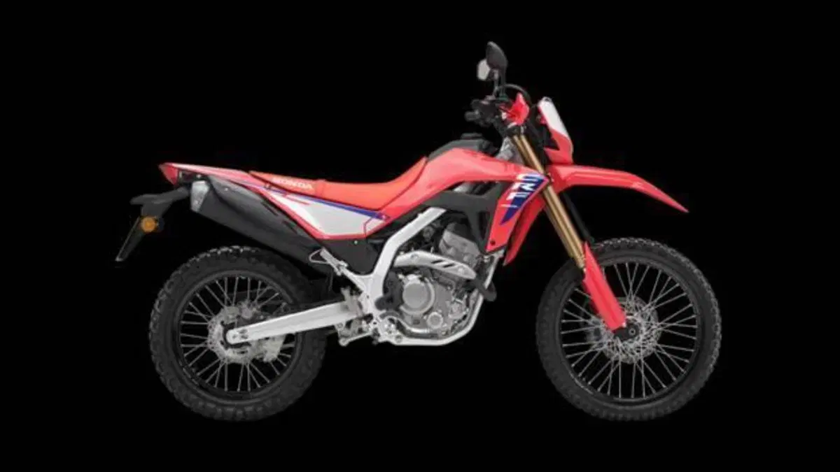 Honda CRF 300L (2025 - 26)