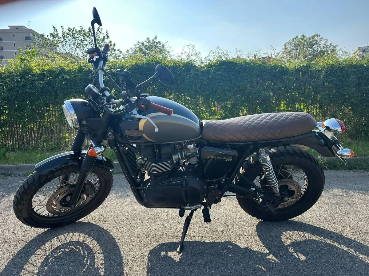 Triumph Scrambler (2006 - 17) (2)