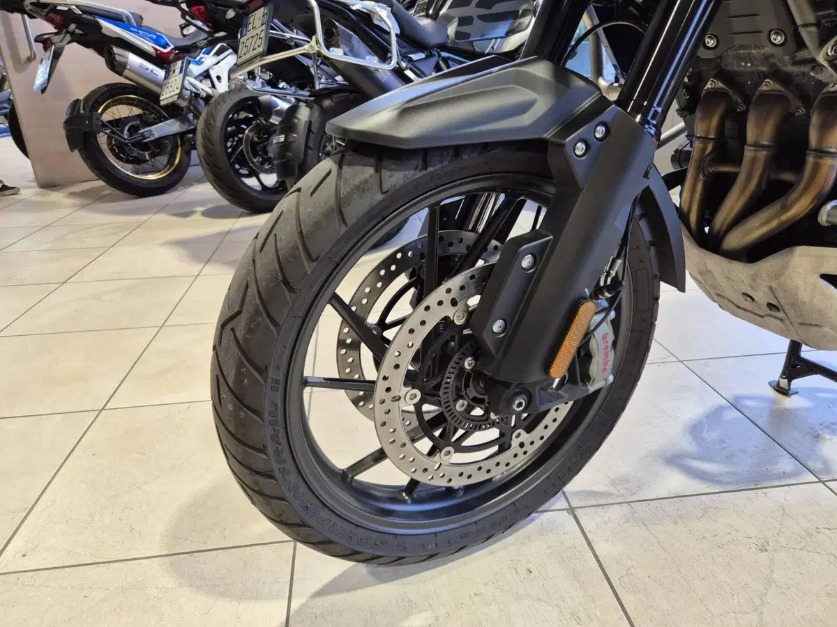 Triumph Tiger 1200 GT Pro (2022 - 23) (9)