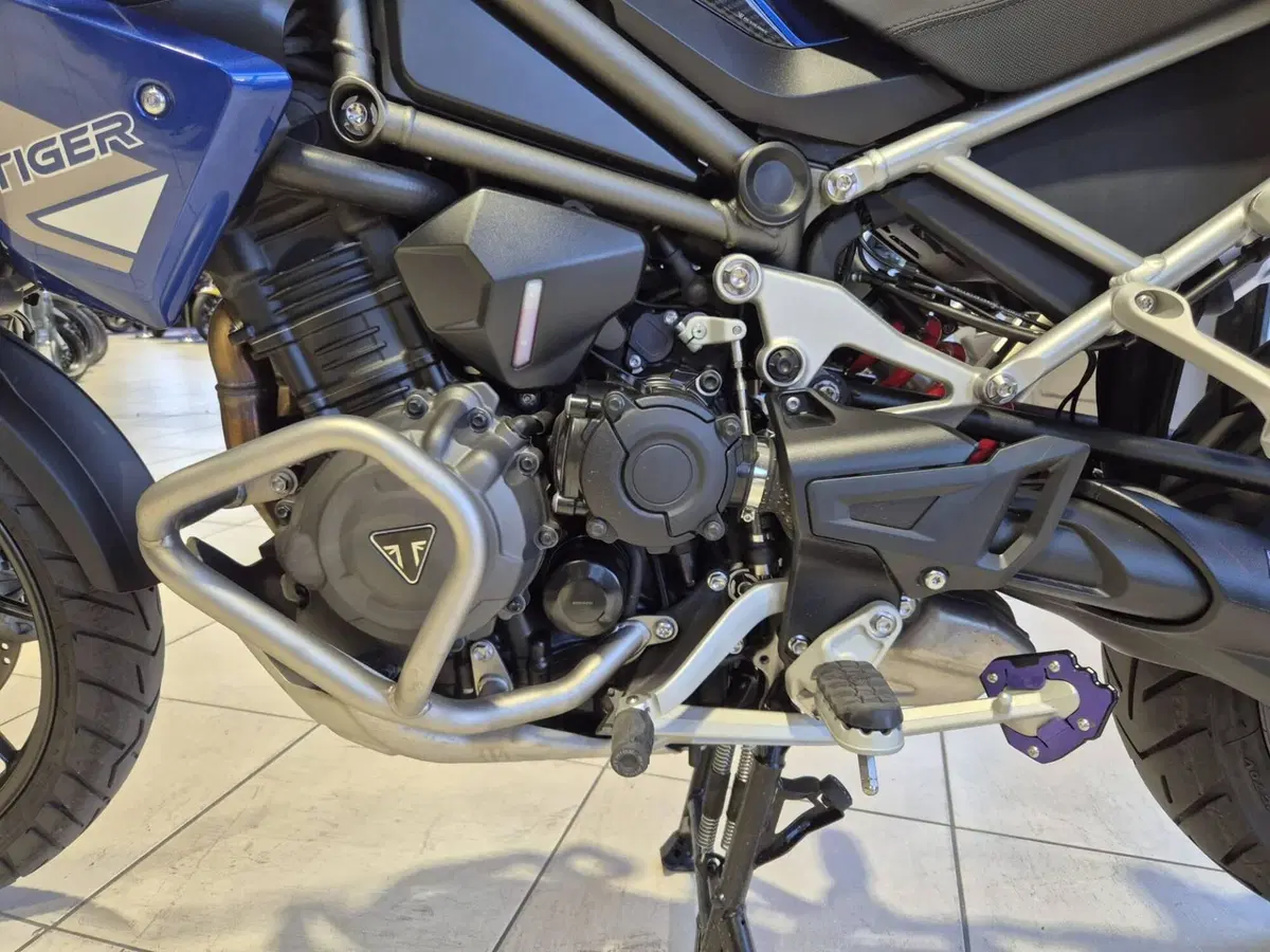 Triumph Tiger 1200 GT Pro (2022 - 23) (11)