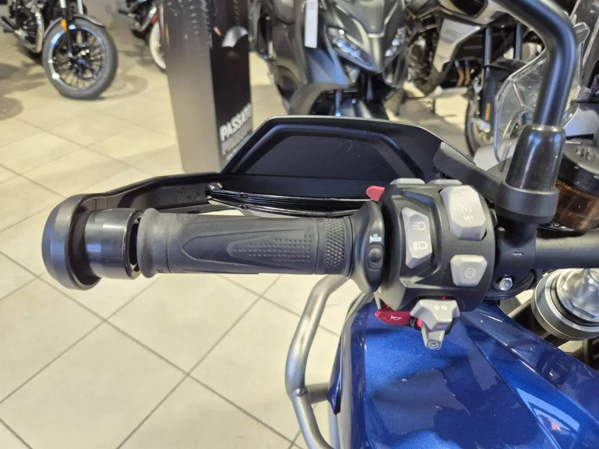 Triumph Tiger 1200 GT Pro (2022 - 23) (13)