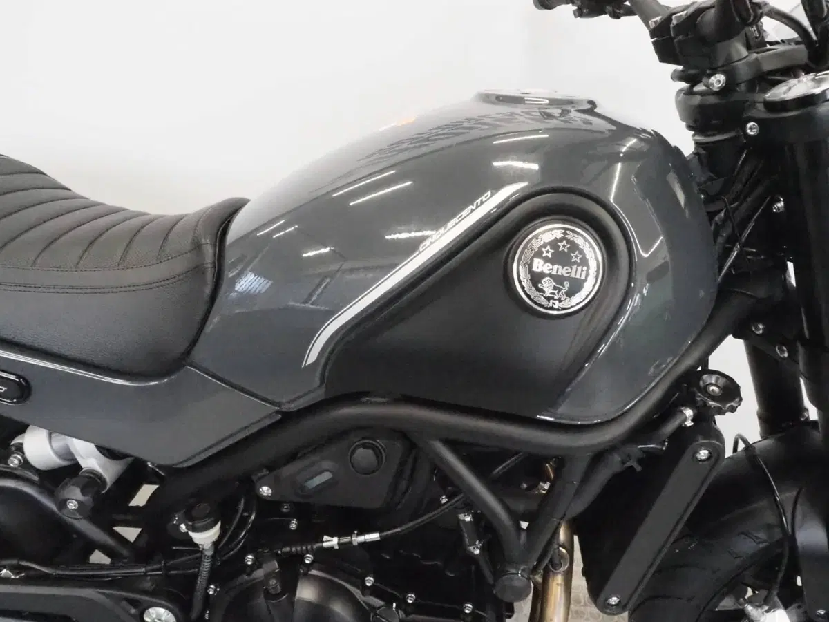 Benelli Leoncino 500 (2021 - 25) (2)