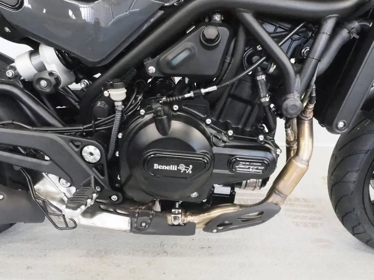 Benelli Leoncino 500 (2021 - 25) (4)