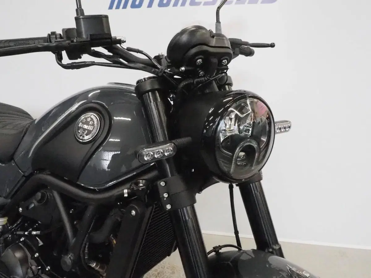 Benelli Leoncino 500 (2021 - 25) (7)