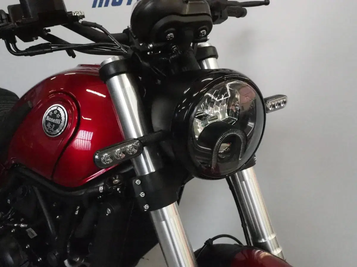 Benelli Leoncino 500 Trail (2021 - 26) (7)