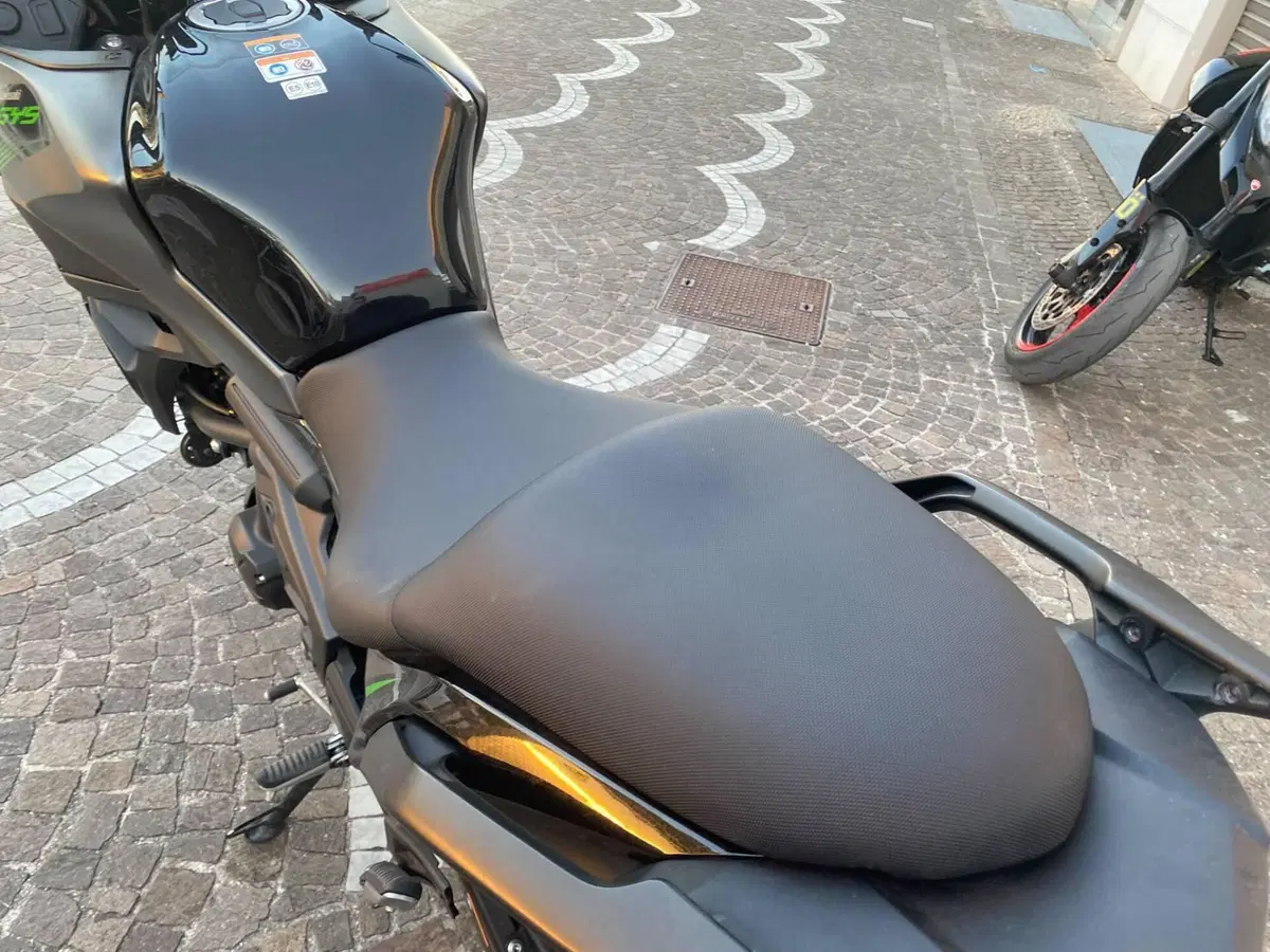 Kawasaki Versys 650 (2021 - 24) (5)