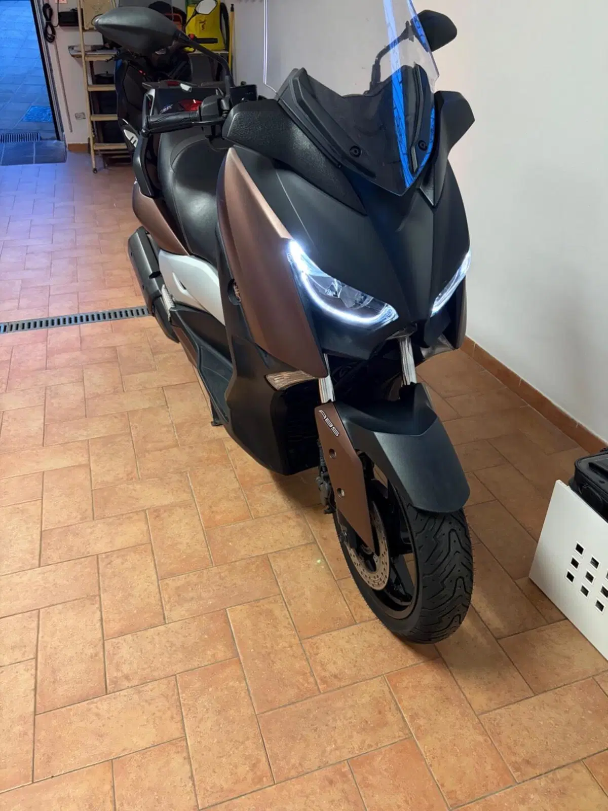 Yamaha X-Max 300 ABS (2017 - 20) (3)