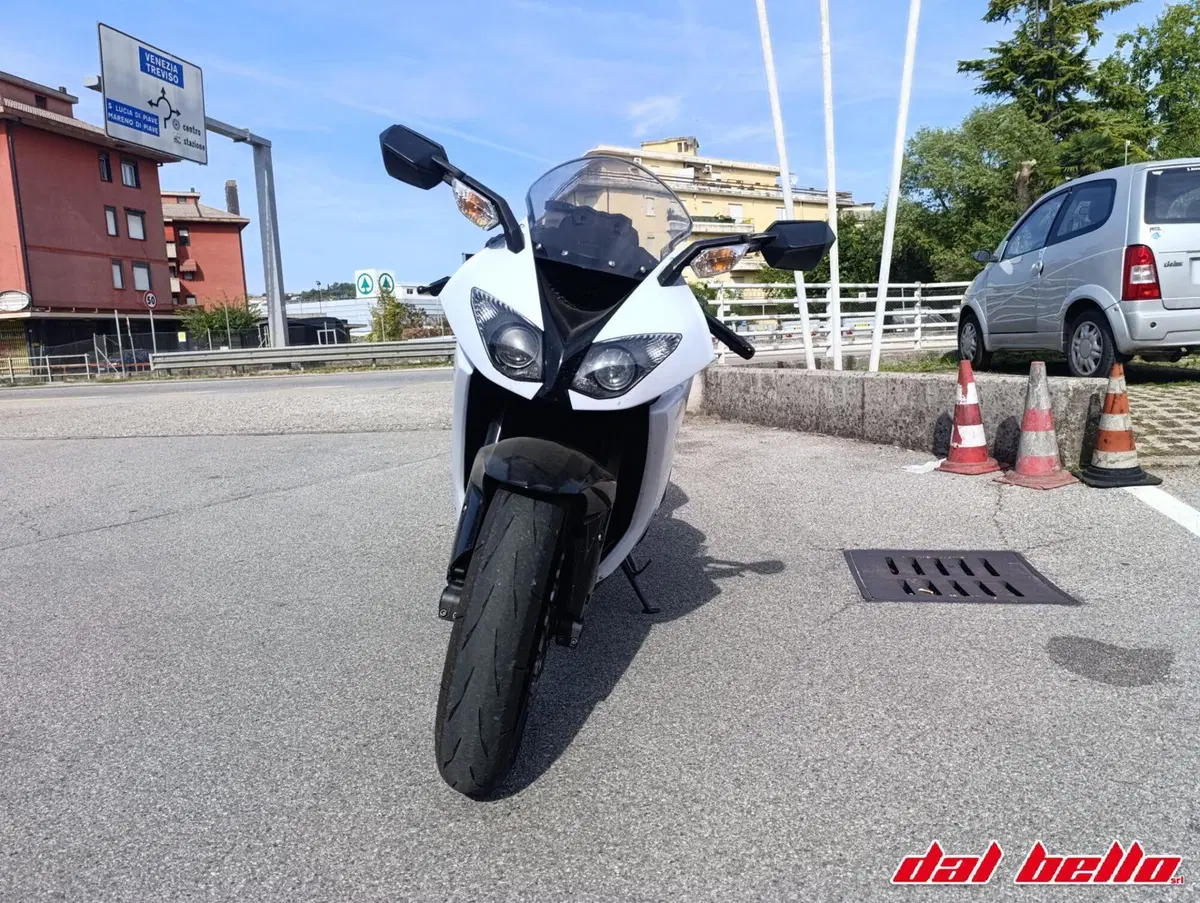 Kawasaki Ninja 1000 ZX-10R (2011 - 15) (2)