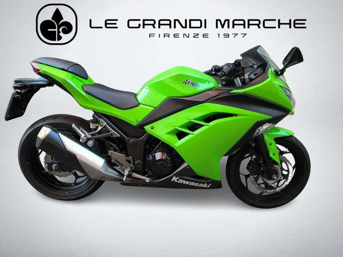 Kawasaki Ninja 300 (2012 - 14)