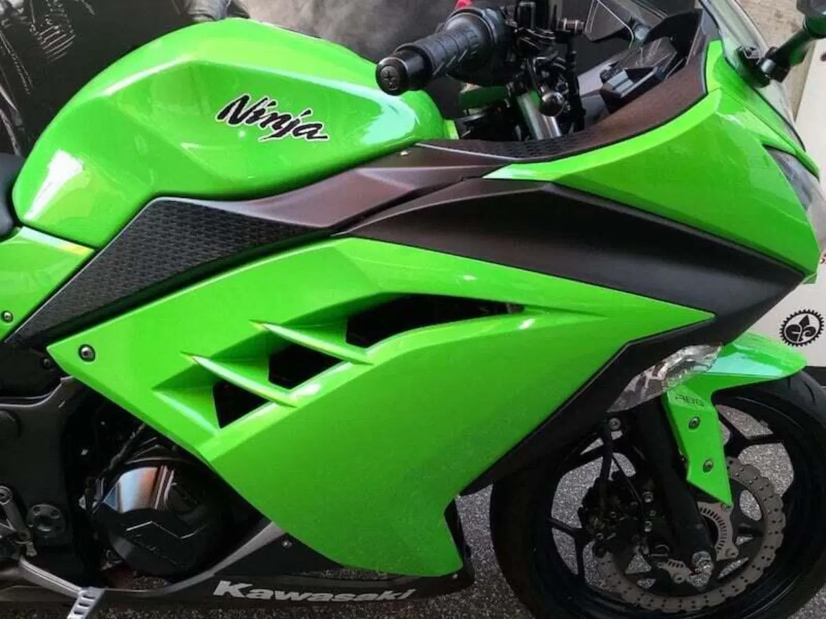 Kawasaki Ninja 300 (2012 - 14) (5)