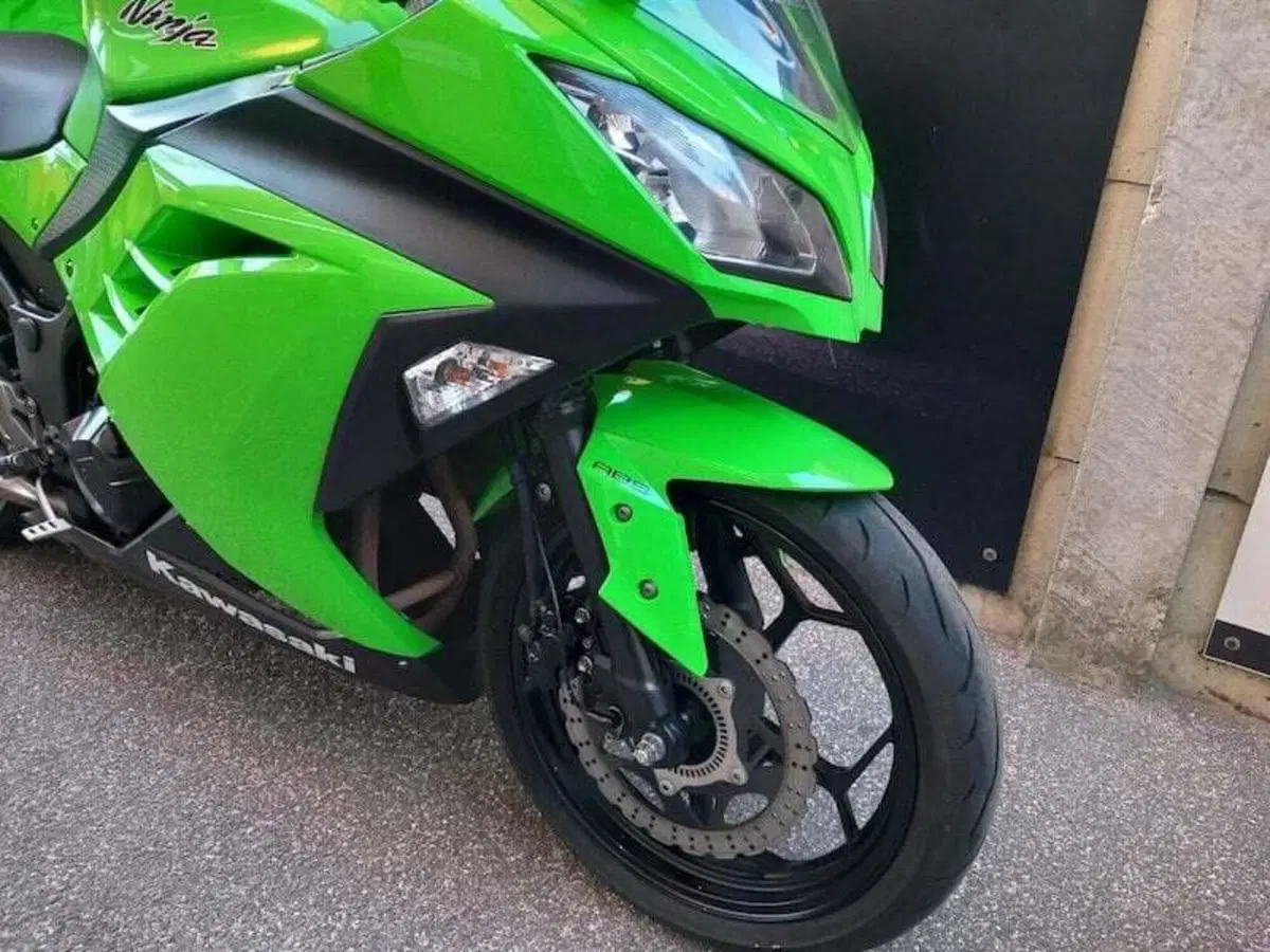 Kawasaki Ninja 300 (2012 - 14) (6)