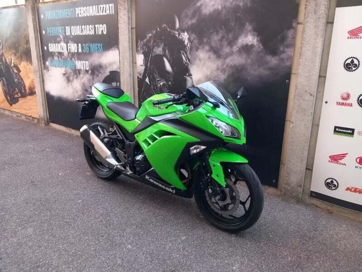 Kawasaki Ninja 300 (2012 - 14) (8)