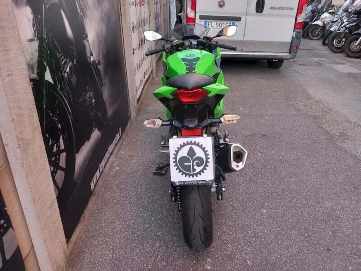 Kawasaki Ninja 300 (2012 - 14) (10)