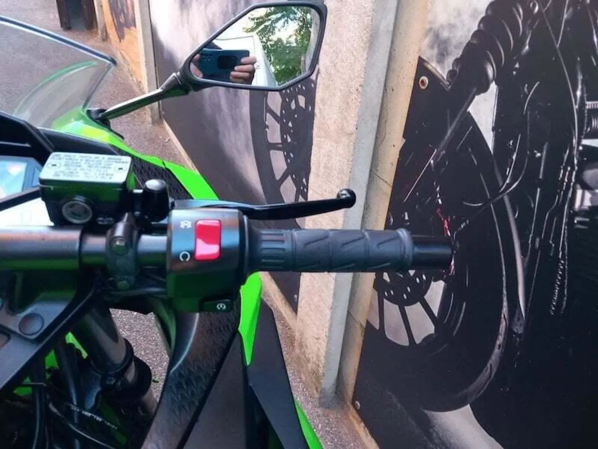 Kawasaki Ninja 300 (2012 - 14) (13)