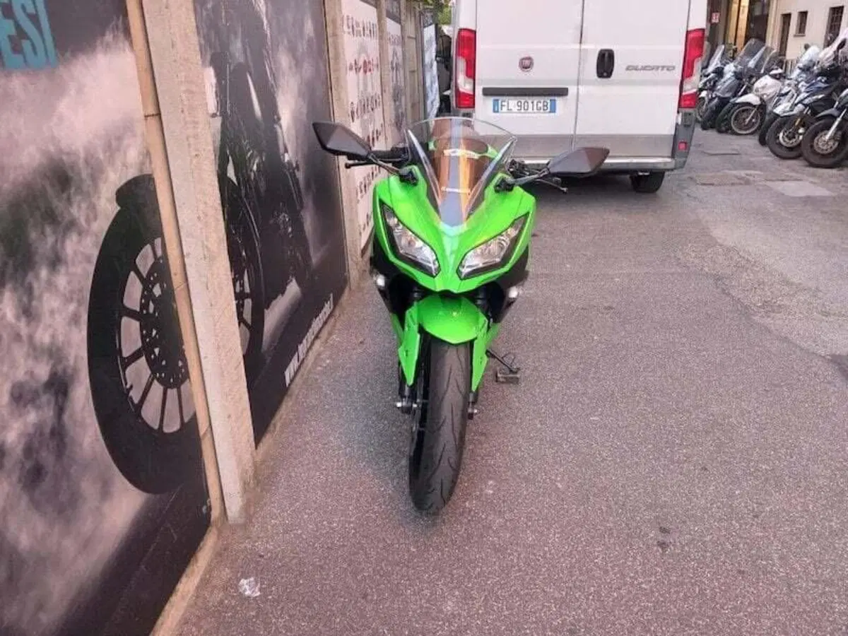 Kawasaki Ninja 300 (2012 - 14) (14)