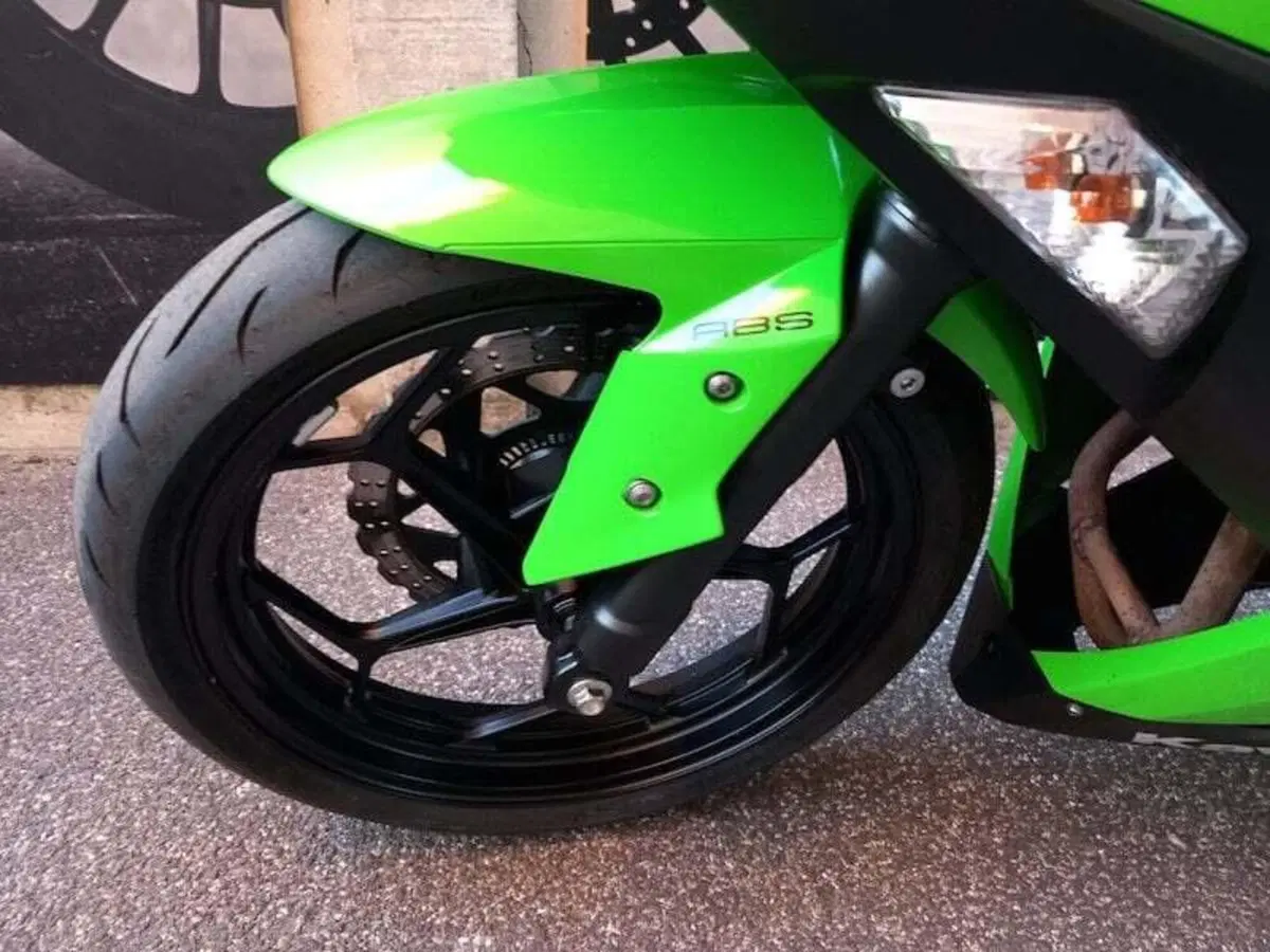 Kawasaki Ninja 300 (2012 - 14) (15)