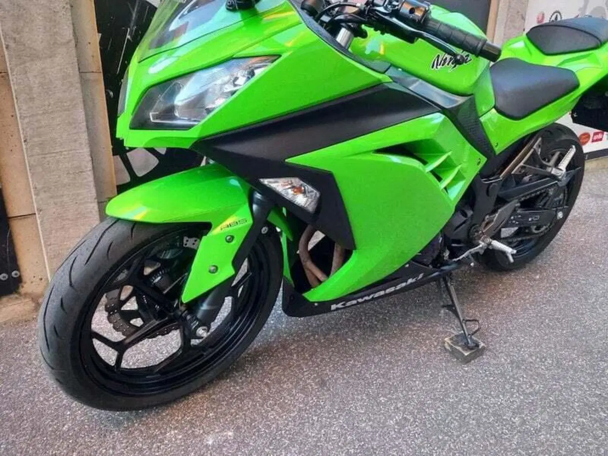 Kawasaki Ninja 300 (2012 - 14) (16)