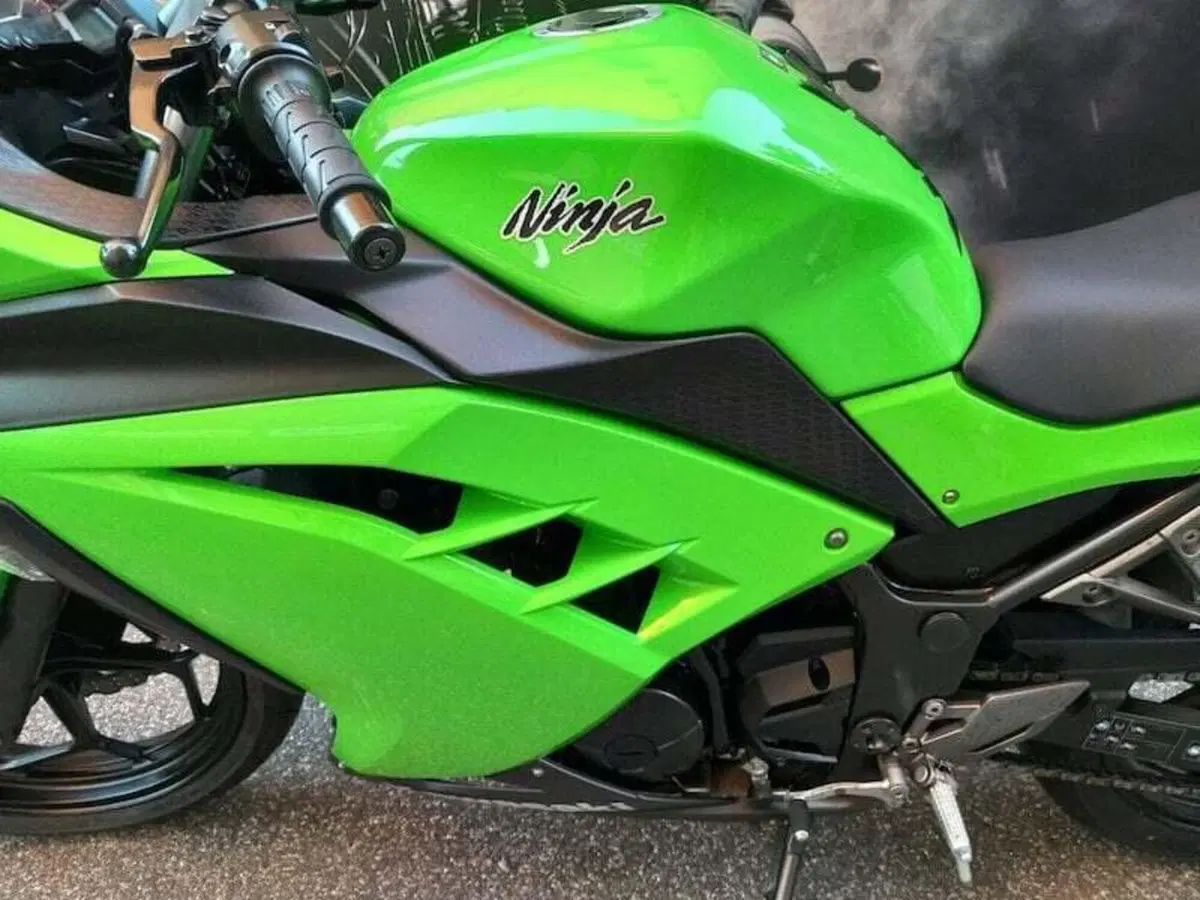 Kawasaki Ninja 300 (2012 - 14) (17)