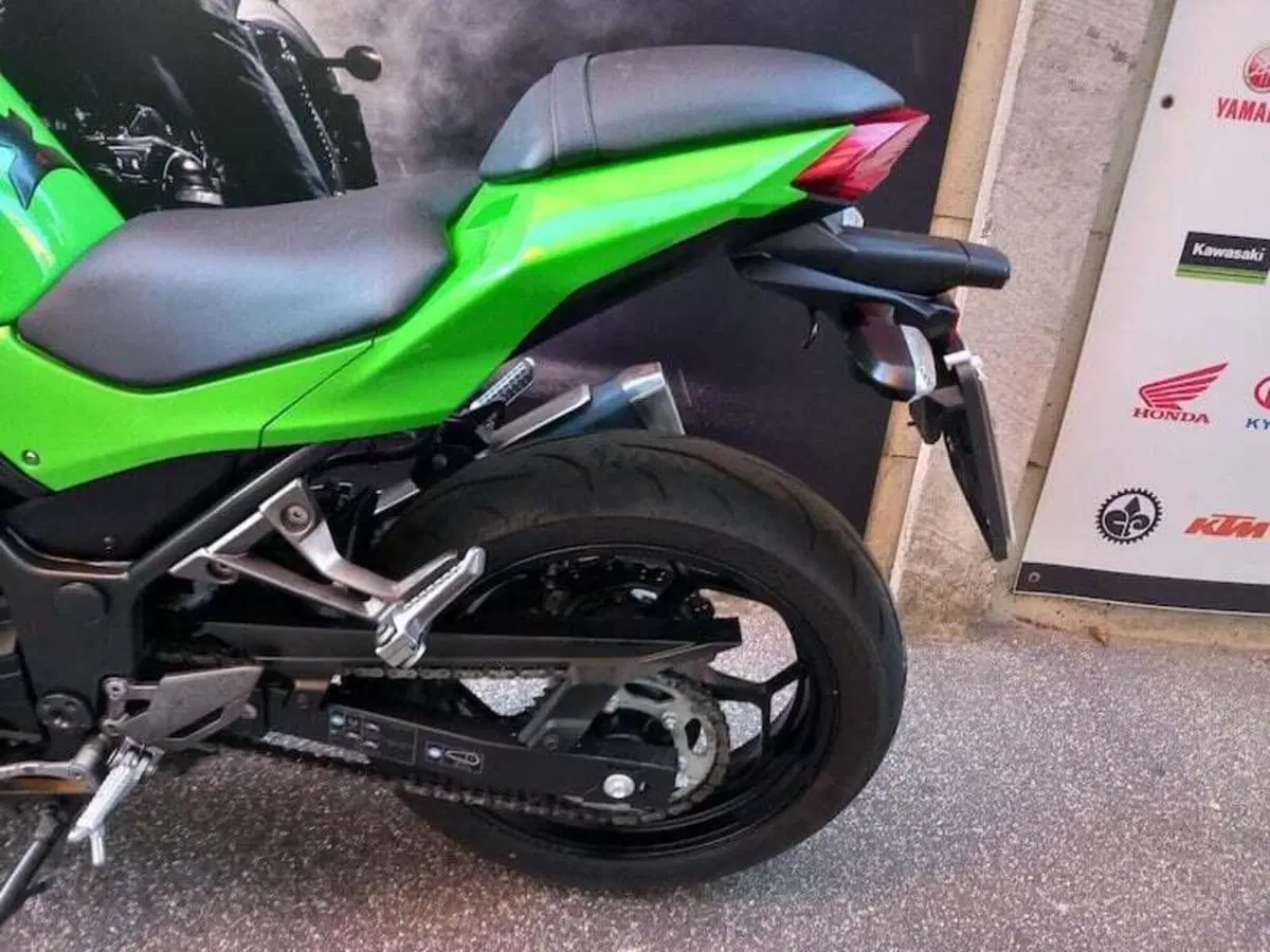 Kawasaki Ninja 300 (2012 - 14) (19)