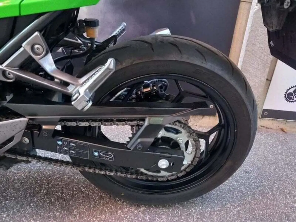 Kawasaki Ninja 300 (2012 - 14) (20)