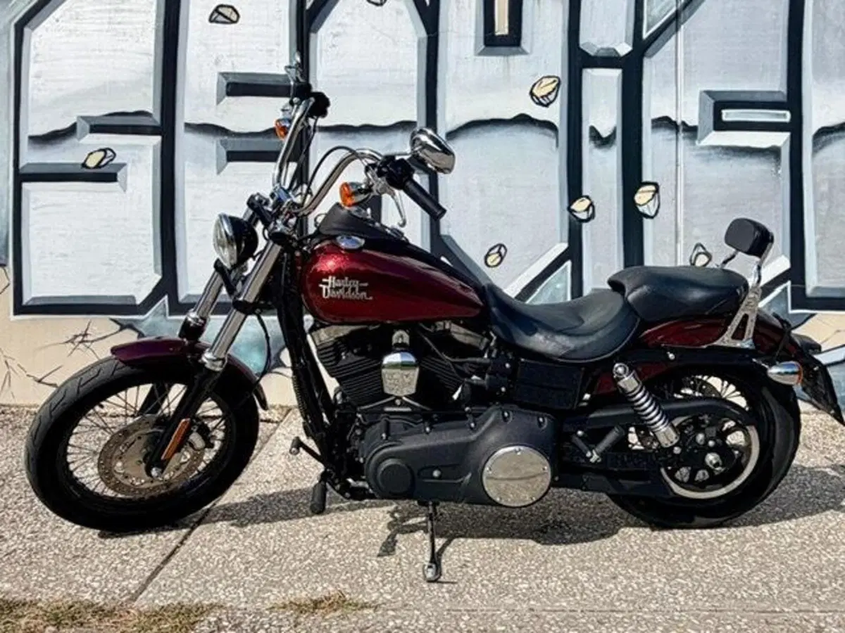 Harley-Davidson 1584 Street Bob (2008 - 15) - FXDB (3)