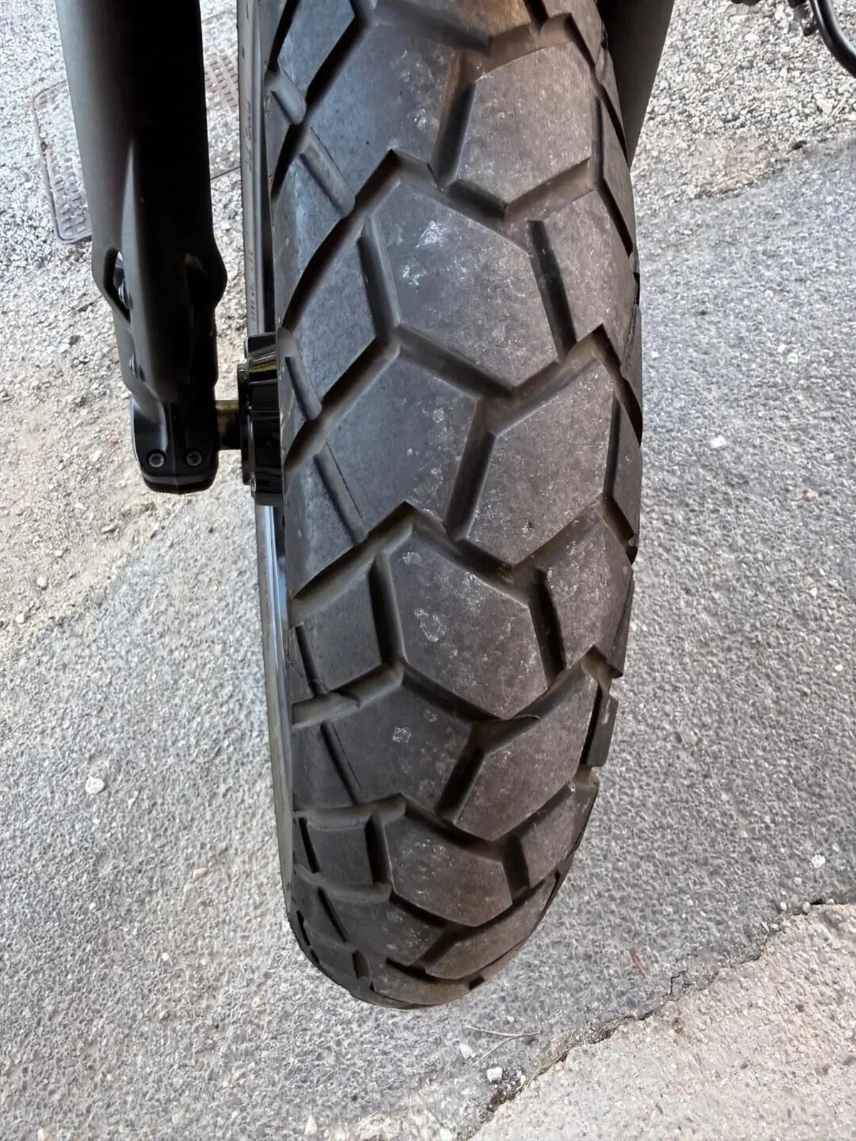 Ducati Scrambler 800 Icon (2023 - 24) (5)