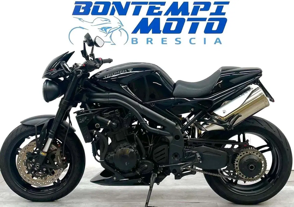 Triumph Speed Triple 1050 (2005 - 11) (2)