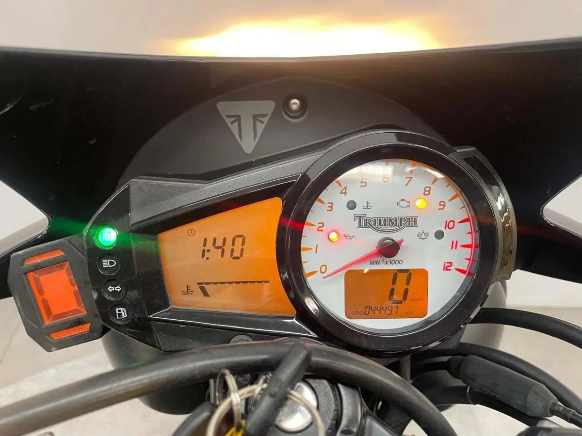 Triumph Speed Triple 1050 (2005 - 11) (3)