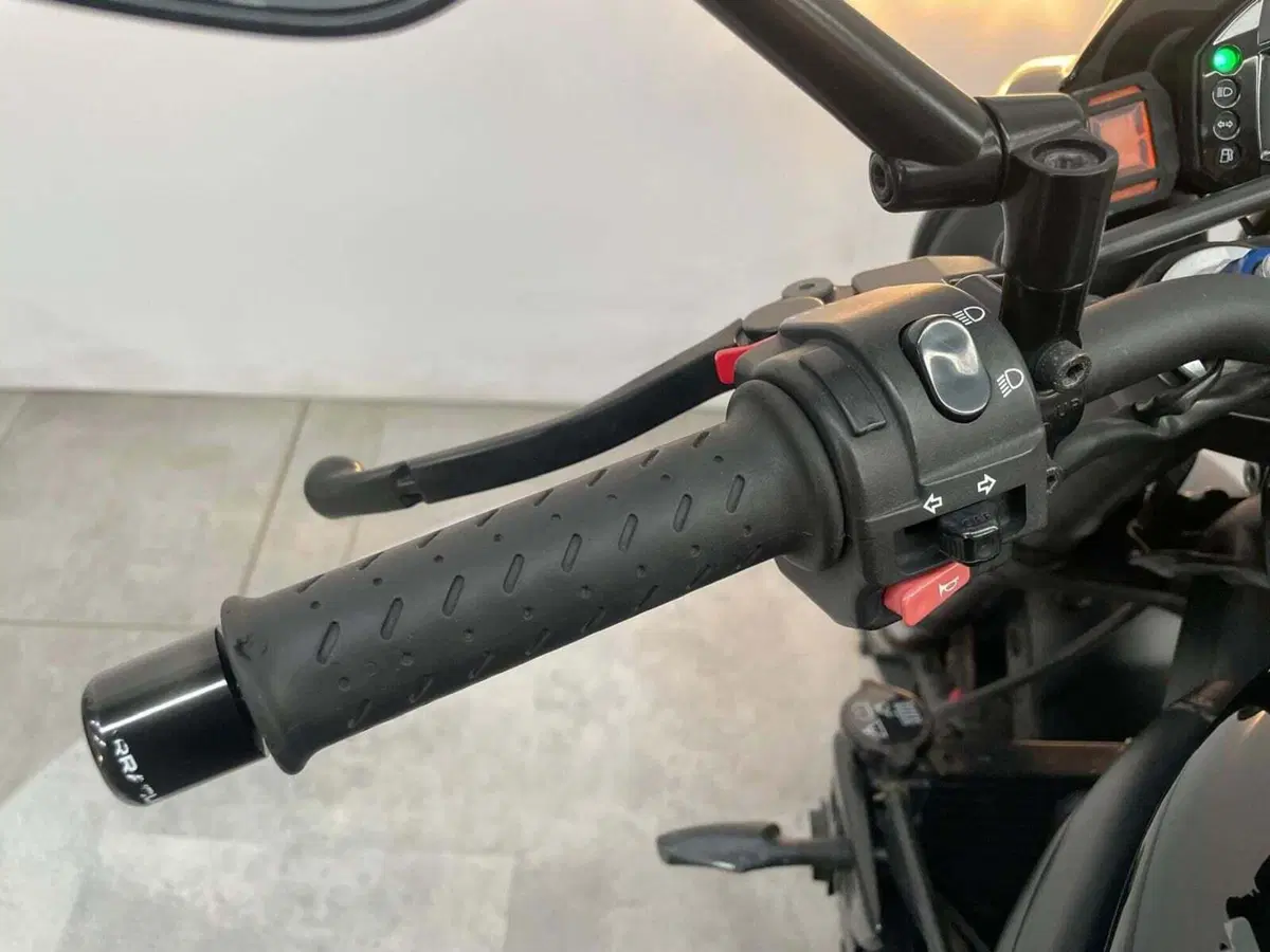 Triumph Speed Triple 1050 (2005 - 11) (4)