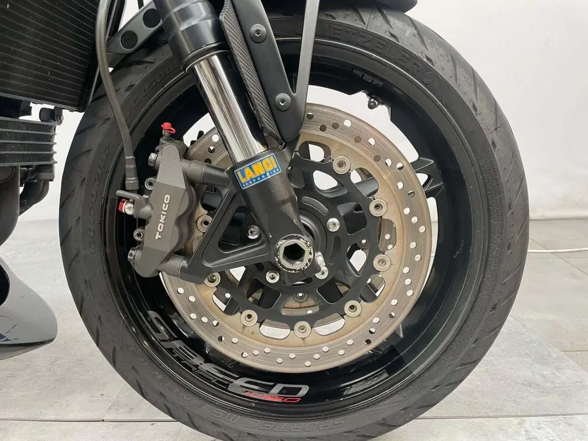 Triumph Speed Triple 1050 (2005 - 11) (10)