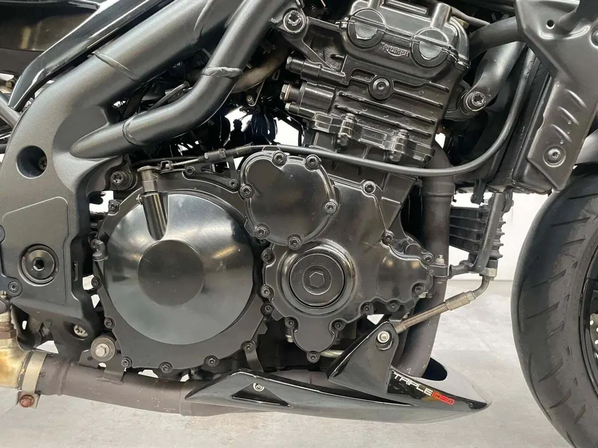 Triumph Speed Triple 1050 (2005 - 11) (11)