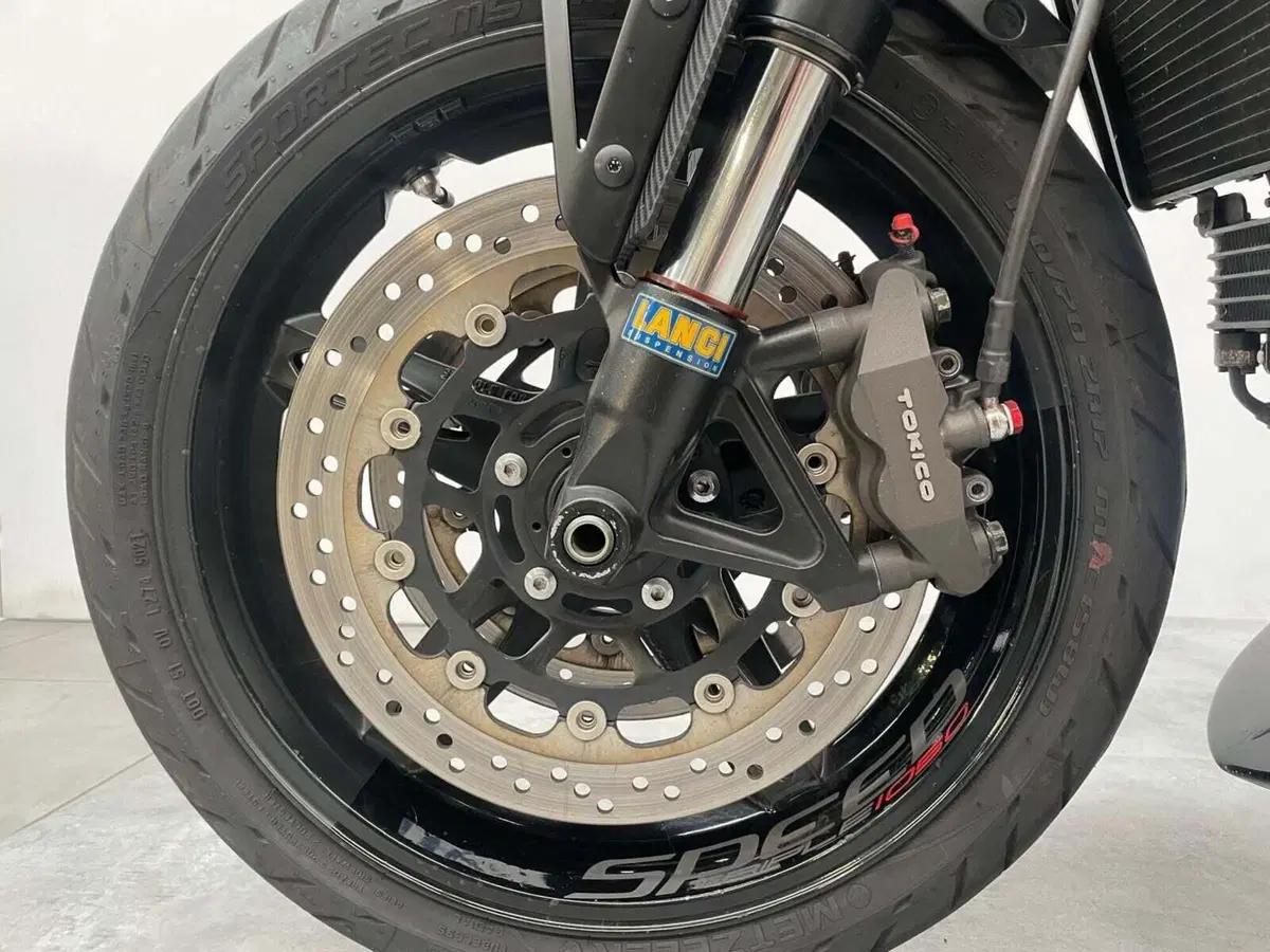Triumph Speed Triple 1050 (2005 - 11) (14)