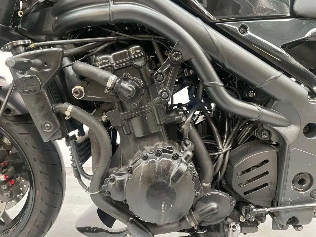 Triumph Speed Triple 1050 (2005 - 11) (18)